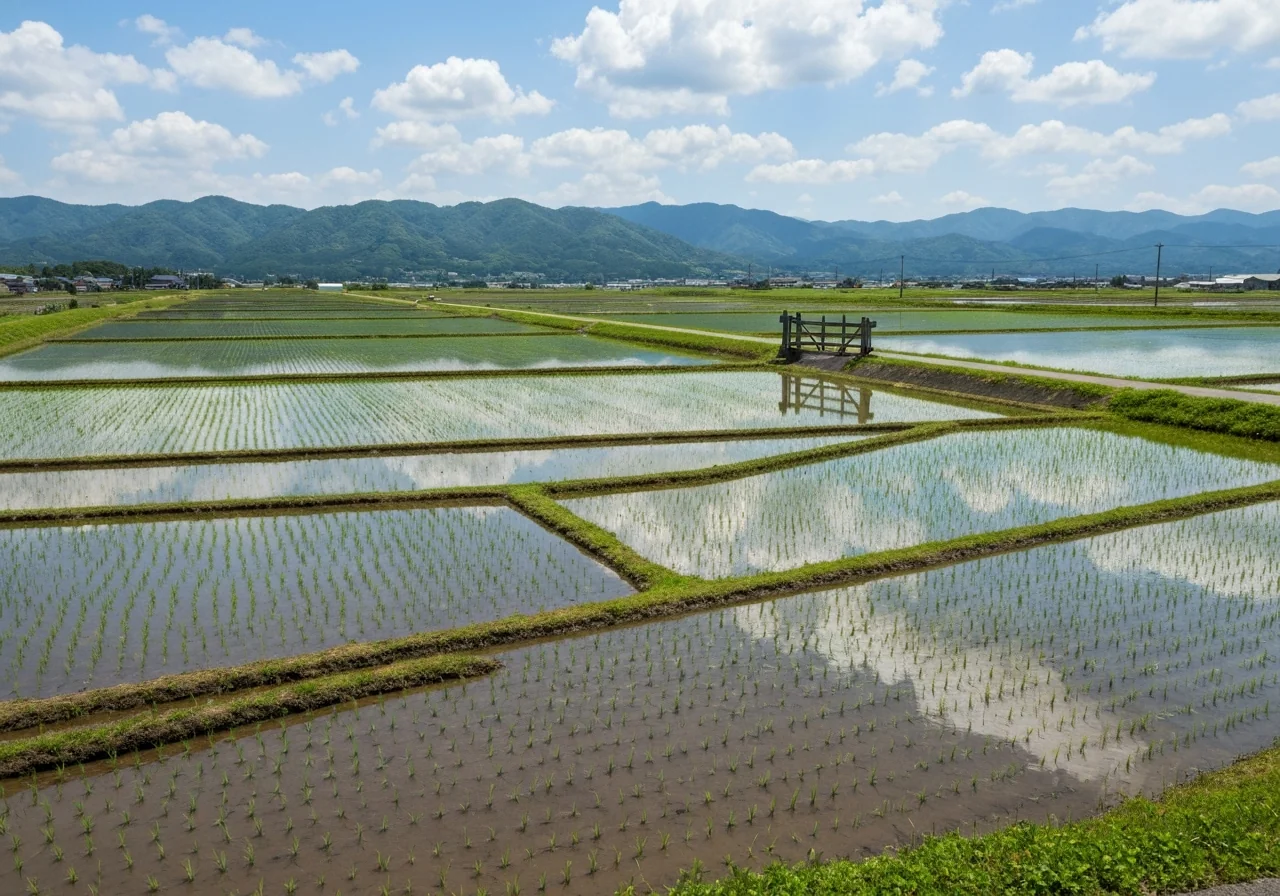 双葉町・浪江町 ほ場整備造成工事